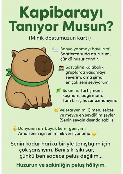 Kalbimin Minik Temsilcisi-Tontikapibara-Sevgiliye Özel Hediye KAPIBARA-25CM fiyatları