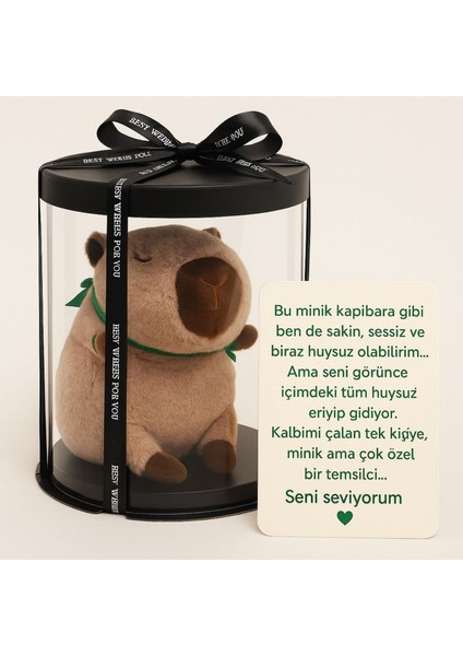 Kalbimin Minik Temsilcisi-Tontikapibara-Sevgiliye Özel Hediye KAPIBARA-25CM fırsatları
