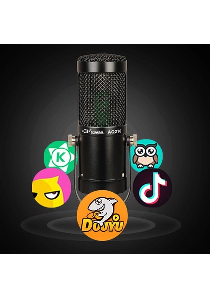 AQ210 Condenser Stüdyo Profesyonel Kayıt ve Yayın Mikrofonu STUDIO-(5775) - CDY3963-9185