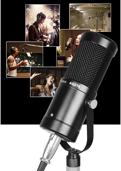 AQ210 Condenser Stüdyo Profesyonel Kayıt ve Yayın Mikrofonu STUDIO-(5775) - CDY3963-9185