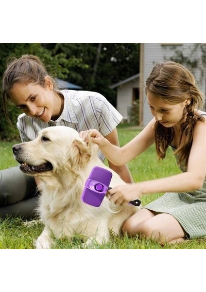 Otomatik Temizlenebilen Tuşlu Pratik Kedi Köpek Tüy Toplama Fırçası (5047) fiyatları