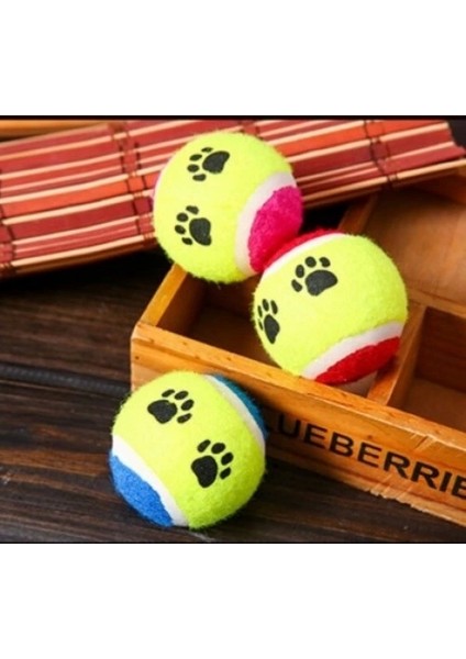 At Getir Köpek Eğitim Topu (5047)