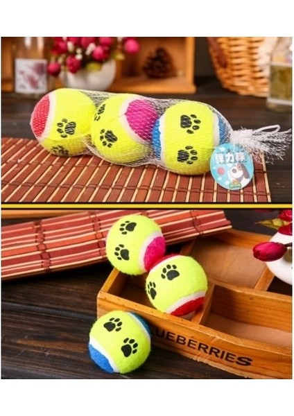 At Getir Köpek Eğitim Topu (5047) fiyatları