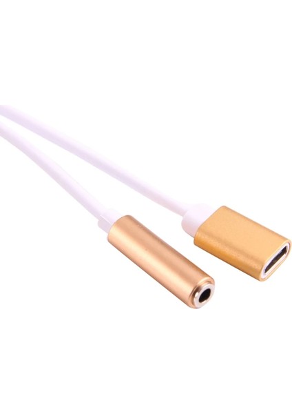 Dual USB 3.1 Type C - Audio 3.5mm Jack Kulaklık Dönüştürücü KABLO-(5775) - BKS9106-1849