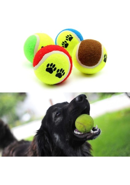 3&amp;apos;lü Renkli Desenli Tenis Topu Kedi Köpek Oyuncağı (5047) modelleri