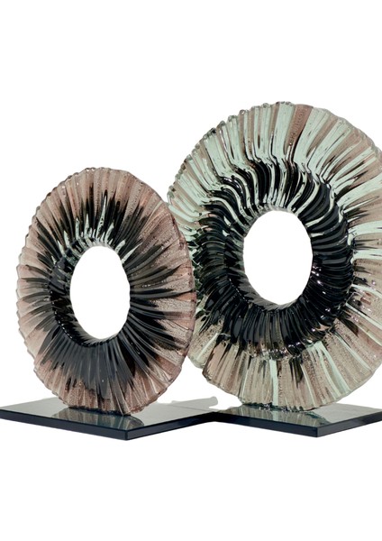 Cam Füzyon Disk Seti Mürdüm modelleri