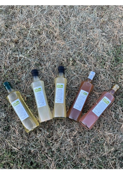 Detoks Sirke 500 ml fiyatları