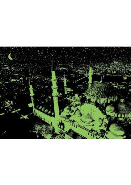 Puzzle Sultan Ahmed Camii 1000 Parça Neon Puzzle
