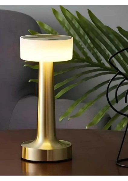 CT-8436 Üç Renk, Renk Masa Lambası (2 Adet)