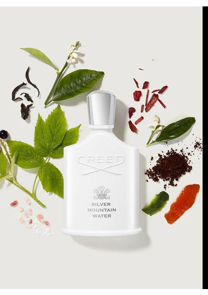 Millesime Silver Mountain Water Edp 100 ml Parfüm
