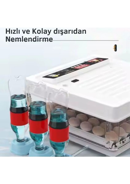 Beyaz Renk 60-70 Plastik Tavuk Yumurta Kapasiteli Tavuk Kuluçka Makinesi fırsatları