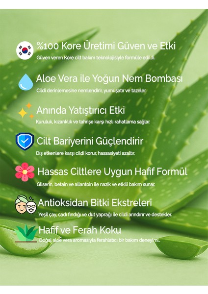7'li Paket Aloe Vera Kore Yüz Maskesi – Yoğun Nem - Ferahlık modelleri