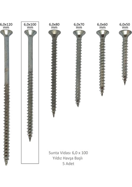 Sunta Vidası 6,0 x 100 mm 5 Adet Yhb Vida