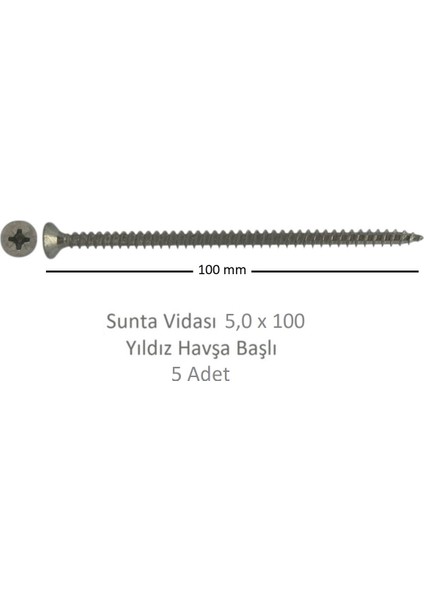 Sunta Vidası 5,0 x 100 mm 5 Adet Yhb Vida