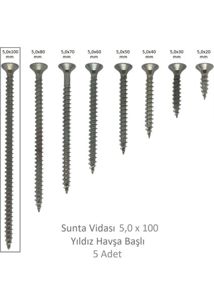 Sunta Vidası 5,0 x 100 mm 5 Adet Yhb Vida