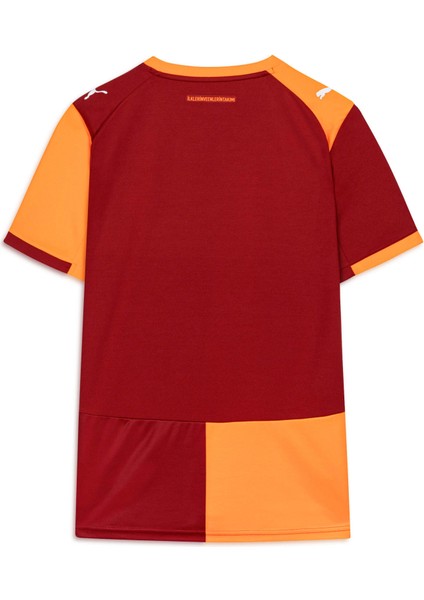 Galatasaray 25/26 Erkek Iç Saha Forması