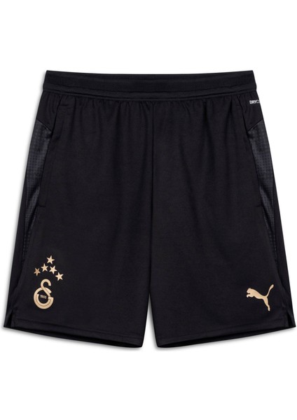 Galatasaray Erkek Antrenman Şortu