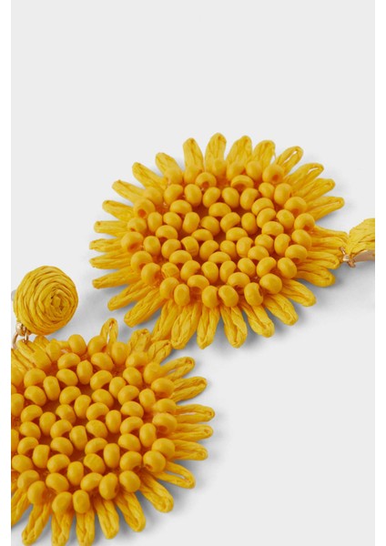 Kadın Sarı Hasır Detaylı Küpe F0838AXNS