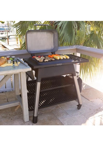EV-E2G1GA Force Gazlı Barbeku Grafıt