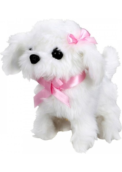 Sevimli Köpek Maltese