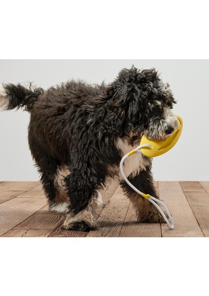 Köpekler Için Fırlatma ve Su Oyuncağı