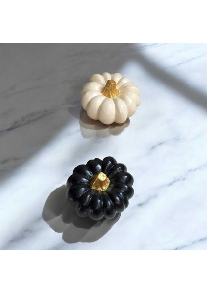 2'li Kabak Biblo, Siyah ve Beyaz Tombul Kabak, Balkabağı modelleri