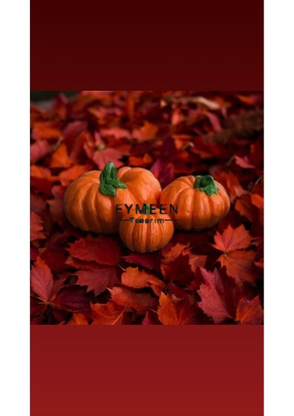 3'lü Turuncu Balkabağı Biblo Obje Seti, Dekoratif Kabak Seti modelleri