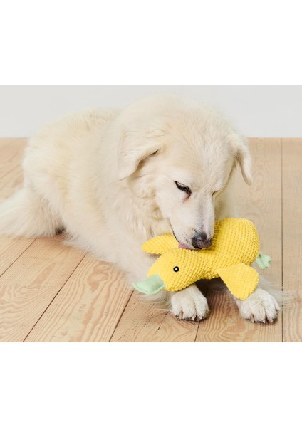 Pelüş Köpek Oyuncağı, Ördek, Geri Dön. Pes, Büyük