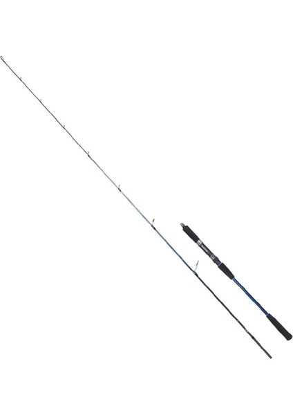 Ryujı Strobe Sp 1.98M 20-80GR 2p Jıg Kamış