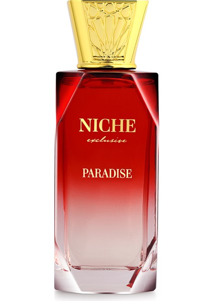Paradise Edp 100 ml fiyatları