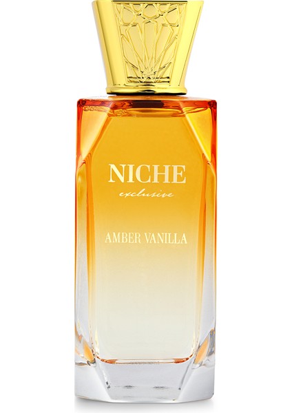 Amber Vanilla Edp 100 ml fiyatları