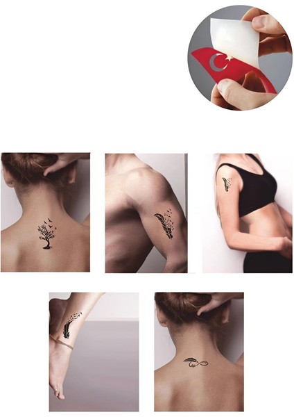 Tüy ve Ağaç Desenleri Hint Kınası ile Geçici Dövme Yapma Seti fiyatları