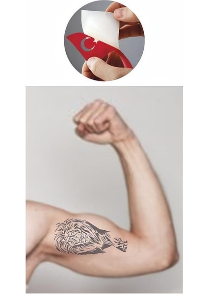 Asya Aslan Tattoo Geçici Dövme Şablonları Kına Kalıpları