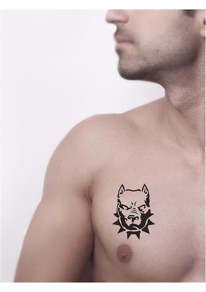 Pitbul Köpek Tattoo Geçici Dövme Şablonları Kına Kalıpları fiyatları