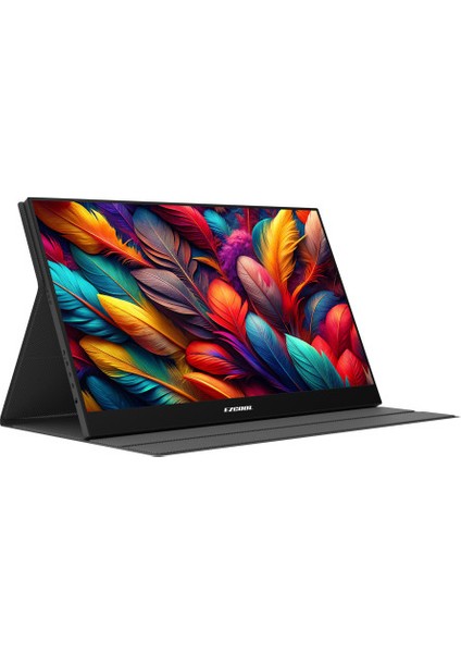 Lite E15 15.6 Inç 60 Hz Fhd Portable Taşınabilir Monitör