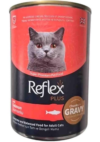 Plus Pate Somonlu Yetişkin Kedi Maması 400GR