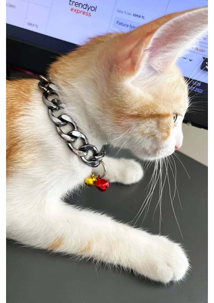 Özel Bernami Rapçi Kedi Tasması, Zincir ve Zilli Kedi Tasması - NPC012 Fırsat!!!