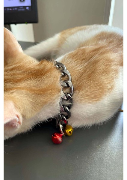 Özel Bernami Rapçi Kedi Tasması, Zincir ve Zilli Kedi Tasması - NPC012 Fırsat!!!