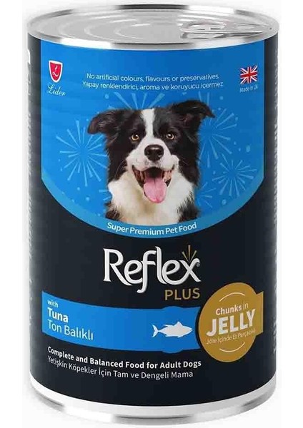 Plus Jöle Içinde Et Parçacıklı Ton Balıklı Yetişkin Köpek Maması 400GR