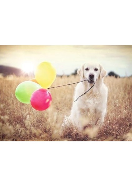 Puzzle Balon Partisi