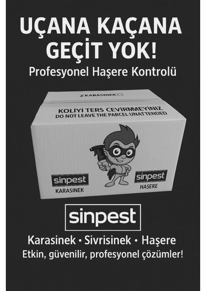 Karasinek, Sivrisinek ve Haşere 24 Adet 500ML