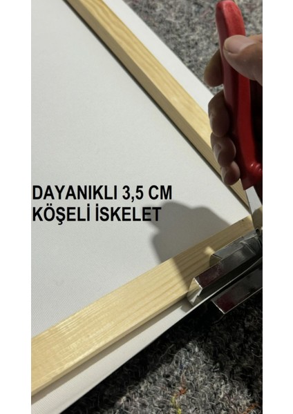 Modern Dekorasyon Kanvas Tablo %100 Pamuklu Kumaş