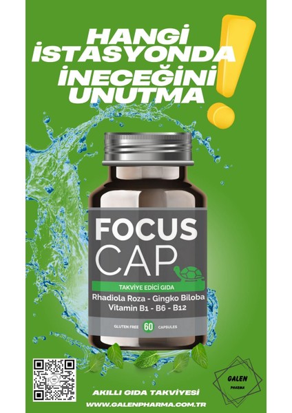 Focus Cap 60 KAPSÜL Alpha-GPC Rhodiola Gingko Biloba fırsatları