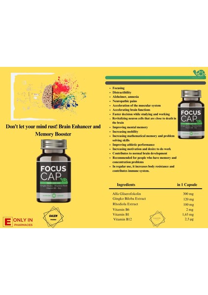 Focus Cap 60 KAPSÜL Alpha-GPC Rhodiola Gingko Biloba indirimleri