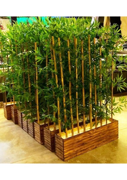 Ahşap Çam Lambiri Saksıda 1 Metre Boyunda Yapay Bambu Ağaç Çiçek Bitki