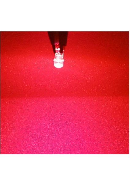 T10 LED Pınk T10 LED Dipsiz Ampul Profosyonel Copılot Seri Pembe