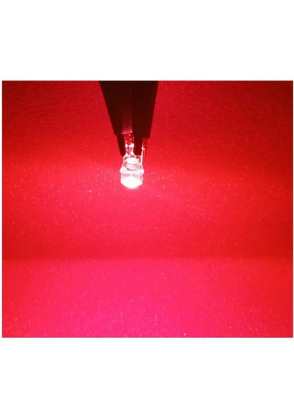 T10 LED Pınk T10 LED Dipsiz Ampul Profosyonel Copılot Seri Pembe