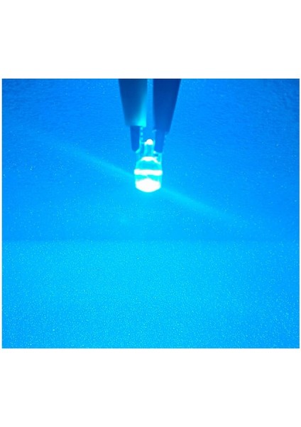 T10 LED Ice Blue T10 LED Dipsiz Ampul Profosyonel Copılot Seri Buz Mavi