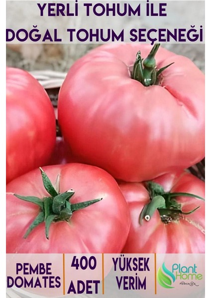 400 Adet Pembe Domates Tohumu-Yerli Ürün-Verimli ve Lezzetli Hasat
