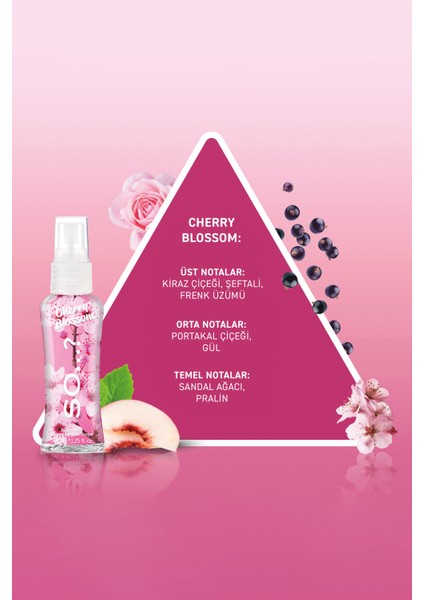 4’lü Mini Vücut Spreyi Hediye seti fiyatları